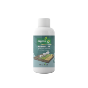 Azospirillum