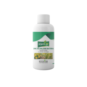 ZINC solubilizing bacteria